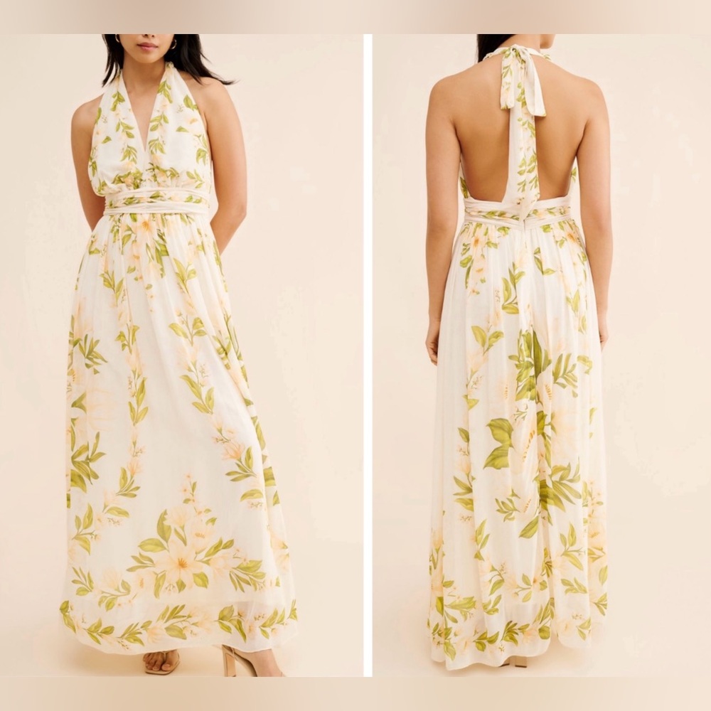 Farm Rio V-Neck Floral Chiffon Maxi Dress, Size S